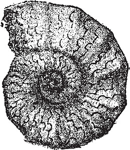 硅藻土切拉蒂诺多索斯 古代雕刻插画