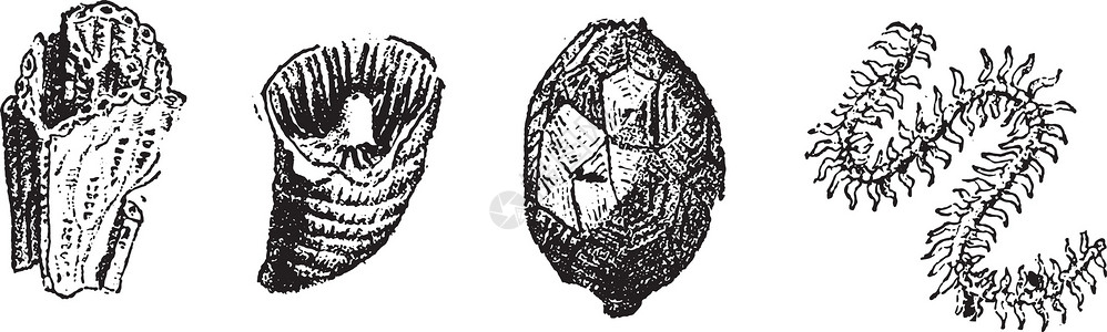 康尼雄软体雕刻 古代雕刻插画