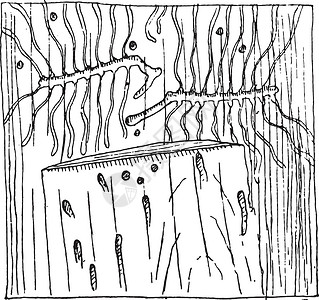 昆斯特勒树干一棵树枝的字面有托米昆斯圆形画廊 vi插画