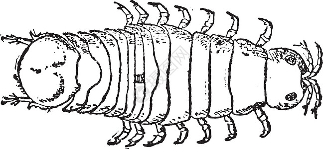 大同土林从后面看到 古代雕刻插画