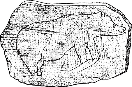 马克特施瓦石在 Mass 洞穴中收集的一块石头上绘制大熊插画