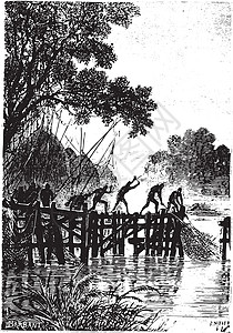 格拉坦然而 当地人很快地拉起他们的渔网 即古老的昆格拉维插画