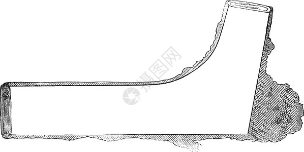 联合国教科文建造一棵树是如何制成木材的 - 单面端复古雕刻插画