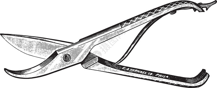 Costotome 复古雕刻高清图片