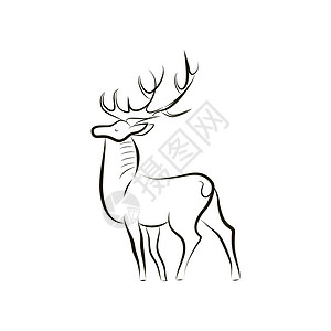 角质手画黑白鹿的边视图插画