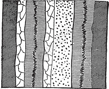 地质刻图艺术品热液裂缝流动雕刻插图静脉液压矿物艺术背景图片