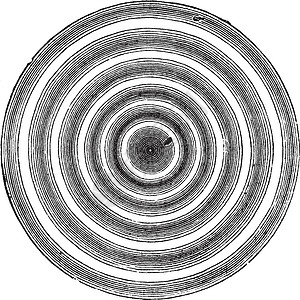 牛顿戒指复古雕刻它制作图案插图蚀刻干涉艺术品古董球形白色绘画艺术同心背景图片