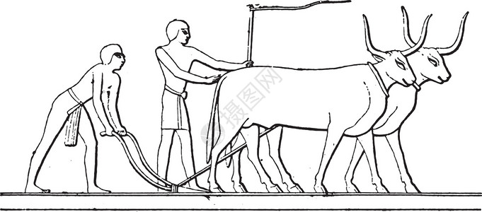犁过埃及犁复古雕刻插画