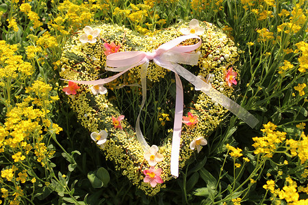 春花中的浪漫的心母亲设计生日贺卡花朵生活明信片爱心花园乡村背景图片