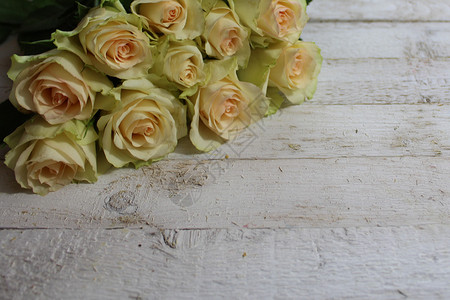 白玫瑰边框玫瑰庆典生日婚礼木板白色背景图片