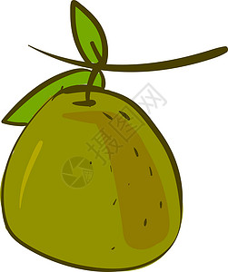 脆甜香瓜白色背景上的绿色水果插画矢量浆果艺术饮食甜点食物营养植物橙子叶子绘画设计图片