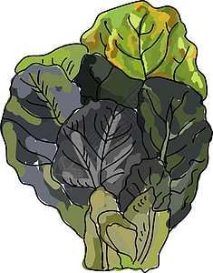 苔菜月饼黑绿色 插图 白背景的矢量插画