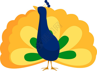 蓝色火鸡白色背景上的尾巴绘画墙纸翅膀羽毛蓝色动物收藏装饰品装饰插画