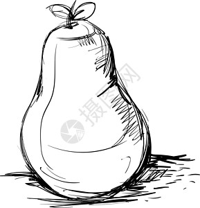番石榴在白色背景上草图收藏椰子涂鸦香蕉食物奇异果插图绘画榴莲背景图片