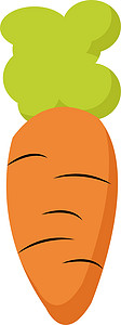白色背景上的新鲜胡萝卜插画矢量橙子食物背景图片