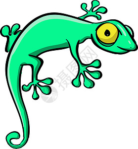 蜥蜴尾巴白色背景上的绿色动物生物情调动物园鬣蜥卡通片热带鳄鱼皮肤尾巴插画