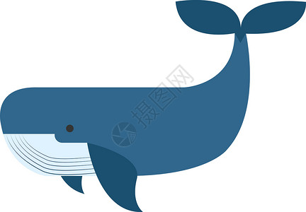 海豚尾巴白色背景上的蓝鲸哺乳动物海浪动物婴儿尾巴荒野墙纸野生动物卡通片黑色设计图片