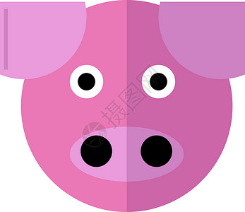 可爱的猪头白色背景上的粉色金融银行业储蓄猪肉快乐现金财富商业债务绘画设计图片
