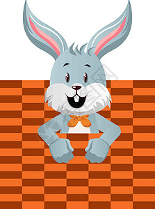 白背景上带坏纹理 插图 矢量的兔子背景图片