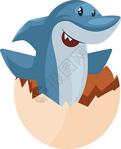 白色背景上蛋壳中的鲨鱼插图向量背景图片