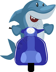 鲨鱼在蓝色滑板 插图和白色背景的矢量上背景图片