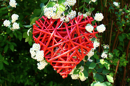 雪莓树丛中的红心红色花朵婚礼艺术鲜花贺卡聚果背景爱心花园背景图片