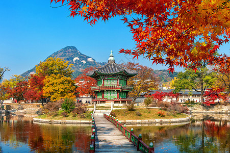 韩国秋天背景秋天在韩国首尔的庆博京贡宫背景