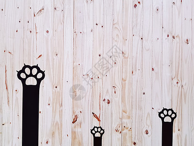 木板墙上装饰性黑猫爪背景图片