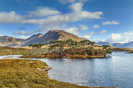 县戈尔韦爱尔兰戈尔韦县湖风景与湖泊松树蓝色荒野天空爬坡旅行公园国家背景