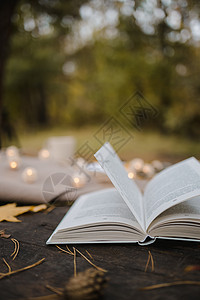 在秋季公园的一张旧木桌上 放着一本打开的书 一张格子花呢 一个带灯的花环 一杯黄叶和 sos 锥体 顶视图 模糊 秋天温暖黑暗的背景