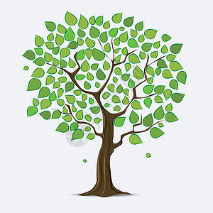 树上有绿叶森林植物学叶子环保环境创造力绿色植物生态木头植物背景图片