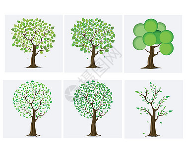 六棵树一套六棵绿树设计插画
