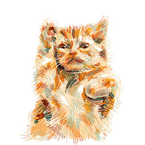 猫腿猫在滑稽的姿势 孤立于白色背景涂鸦动物草图典当小猫卡通片哺乳动物艺术猫咪绘画设计图片