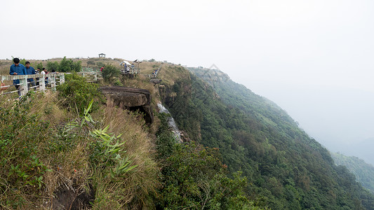加拉廷谷热带雨林宁静的场景高清图片
