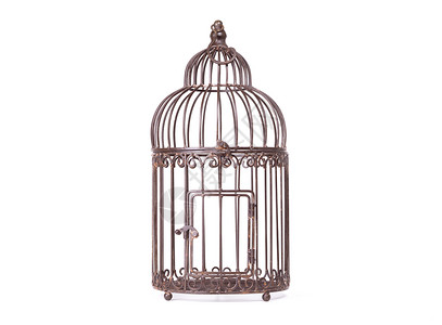 金属鸟笼白背景上的空鸟笼雀俘虏圆形白色监狱宠物鸟笼栅栏金属背景