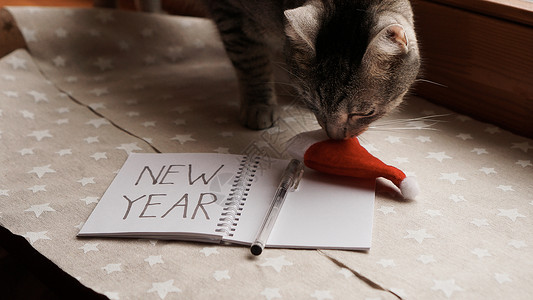 决议有笔的笔记本写新年的目标与猫职业高架辞职动机思维工作咖啡笔记商业展示背景