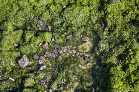 海石头背景 天然石材墙纸碎石地质学花园场景海岸鹅卵石海洋材料岩石背景图片