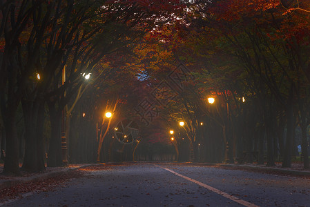 秋天或秋天在韩国南部仁川渡江公园公园景观游客文化建筑学建筑寺庙房子旅游吸引力背景