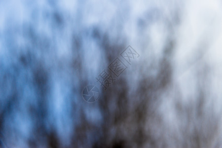 光秃秃的树枝背景以冷色脱焦蓝色木头分支机构白色季节森林灰色黑色场地背景图片