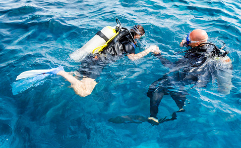 红海潜水经验丰富的潜水教练教初学者潜水背景