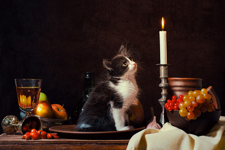 猫桌子坐在一块粘土板上 看着一朵烧着的蜡烛背景