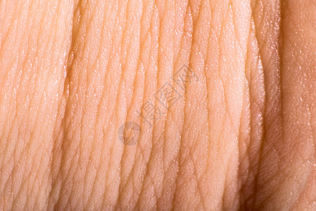 特写人体皮肤 宏观表皮毛孔身体粉色皮炎生物学皮肤科纹理药品科学细胞背景图片