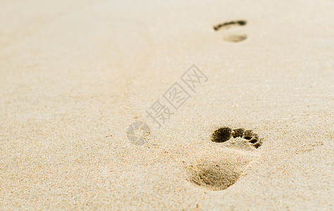 沙滩上沙丘上的脚印背景图片