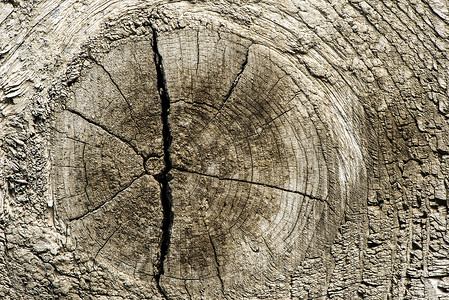 旧腐烂的黑暗解放军木材桌子橡木难点硬木棕色风格木板木工控制板背景图片