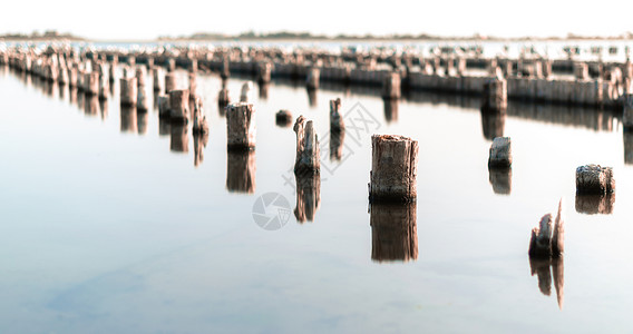 水的平静表面中的木板柱海景海洋反射气候环境季节背景图片