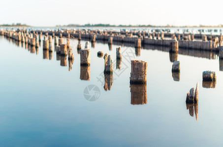 水的平静表面中的木板柱海景环境反射海洋季节气候背景图片