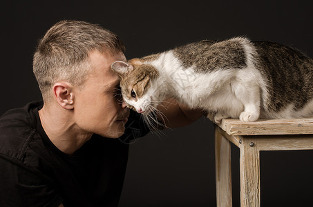 猫与人情谊友情 友谊 男人和猫触摸了他们的前额怜悯感情一只猫毛皮宠物兄弟动物人与猫成人护理背景
