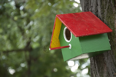 自制的彩色鲜亮鸟屋盒子花园树干工艺森林环境手工生活木头季节背景图片