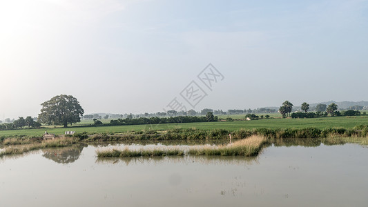 亚太地区印度农业领域的景观风景 季风期间的传统稻田地平线 印度农业用地典型的热带绿色乡村收获土地环境保护倒影季节中央邦农作物田园天空生长背景