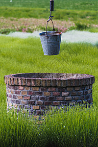 大水桶在一个井上生锈的铁水桶紫色场地口渴植物薰衣草金属圆形绿色背景